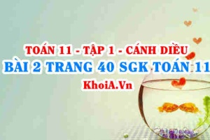 Bài 2 trang 40 SGK Toán 11 tập 1 Cánh Diều